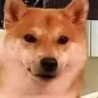 tg cute phô mai que
