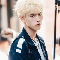 Trần Phi Vũ