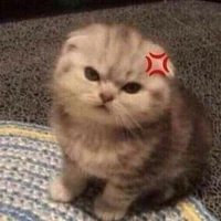 🙂💢