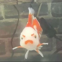 Mane - hệ thống 022