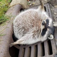 😲 bị bí