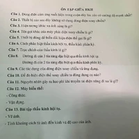 nhân vật quần chúng