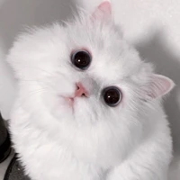 hế lô cả nhà iu của kem 🤣🤣