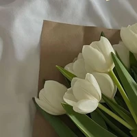 Tác Giả