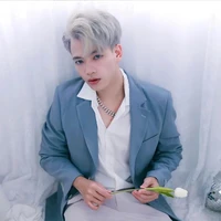 Mr vịt
