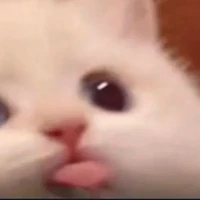 Tác giả đâyyy