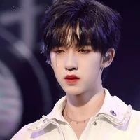 Hạ Tuấn Lâm