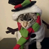 Tác giả(Jin_Haru✨)