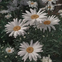 tác giả:> ad chơi nhiều vai