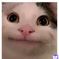 đoán xem :)