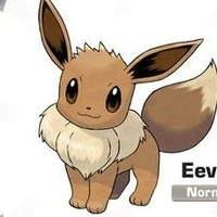 eevee