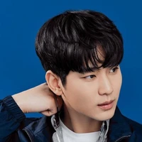 Kim Tú Hiền( Thái tử)