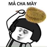 Hầu Gucci(hằng)