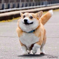 Choá