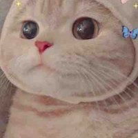 Tác giả cute đây