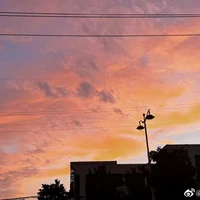 Tác giả