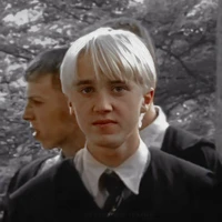 Draco Lucius Malfoy