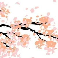 mọi người có mặt ở đó