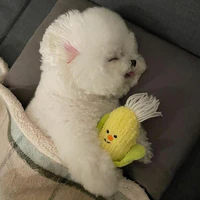 Sunnie (tác giả)