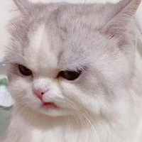 Tui là tác giả nèk