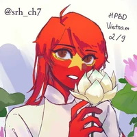 VN