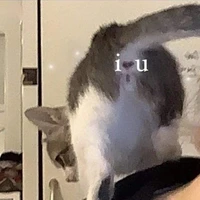 tác giả cao 2m:>>