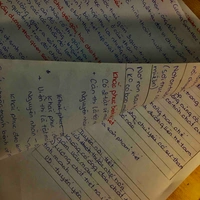 nhỏ tác giả ăn hại