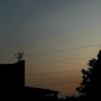 Tác giả thiếu muối