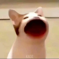 Tác giả