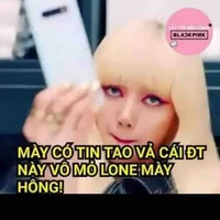 con tác giả