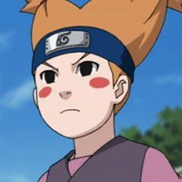 Meogi