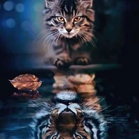 All
