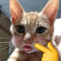 tác giả
