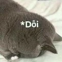 Con T.Giả Lại Dỗi Nữa Rồi:((