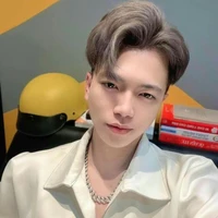 mister vịt 