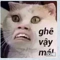 tác giả cute