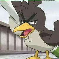 Kamonegi_Satoshi
