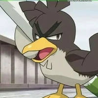 Kamonegi_Satoshi