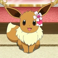 Eevee_Koharu