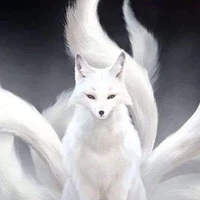 White Fox