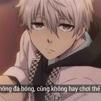 NaGi (tác giả)