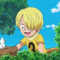 Sanji