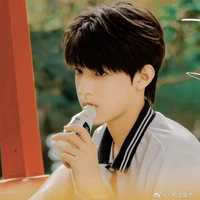 Trương Trạch Vũ