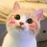 Pon Cas Tĩnh