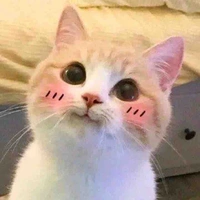 Pon Cas Tĩnh