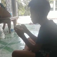 Anh Vũ(Anh 3)