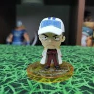 Sakazuki Akainu