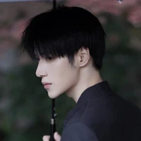 Từ Vân Anh (Sĩ quan cấp cao)