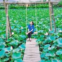 tác giả ( Hạnh)