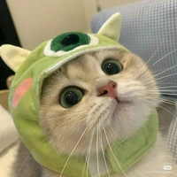 Gia Mủ cuti